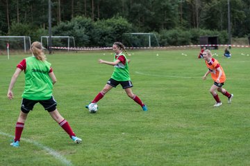 Bild 190 - Frauen SG NieBar - HSV 2 : Ergebnis: 4:3